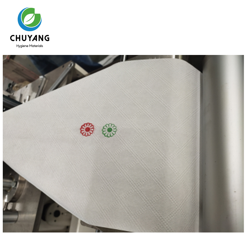 Quanzhou Chuyang Hygiene Materials Co.,Ltd