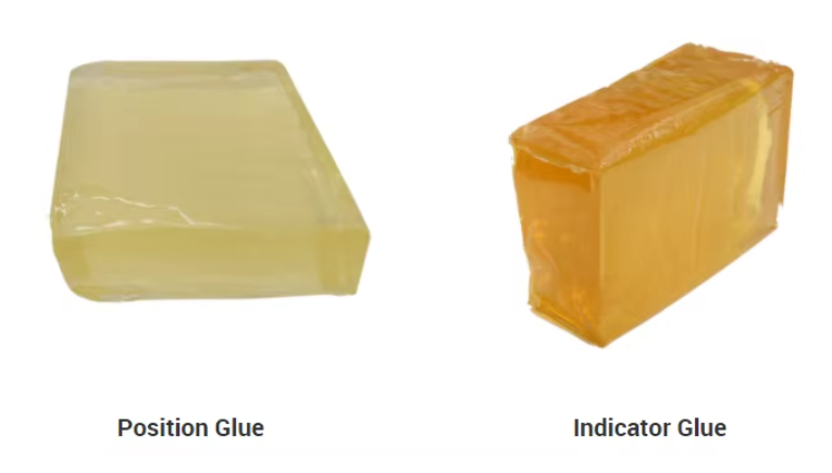 Focus Hot Melt Glue Adhesive Raw Materials Construction/Elastic/Position Glue for Making Diapers Focus Hot Melt Glue Adhesive Raw Materials Construction/Elastic/Position Glue for Making Diapers