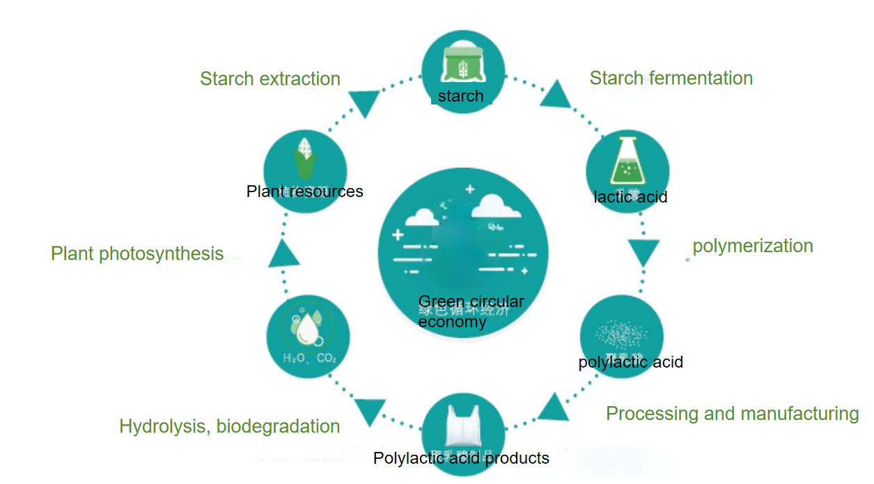 An introduction to polylactic acid (PLA) nonwoven fabrics and their applications in hygiene products An introduction to polylactic acid (PLA) nonwoven fabrics and their applications in hygiene products