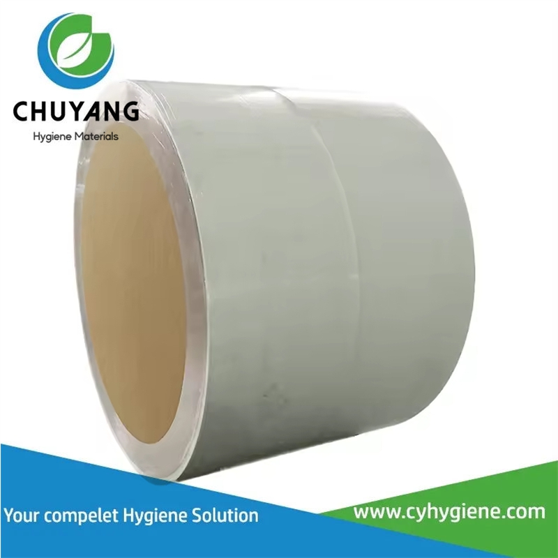 Quanzhou Chuyang Hygiene Materials Co.,Ltd