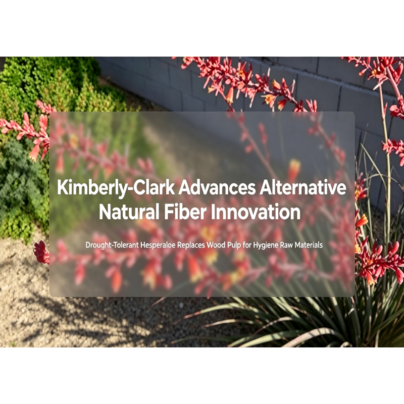 Kimberly-Clark Develops Hesperaloe Sustainable Fiber for Hygiene Products